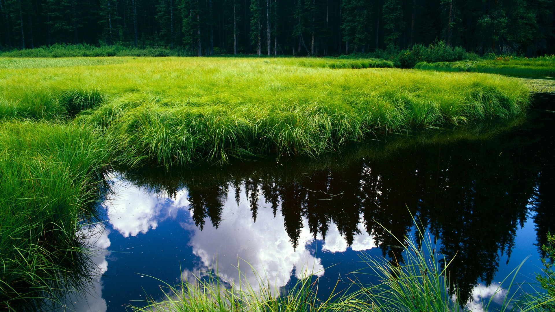 开云·体育官网APP下载-佛罗伦萨节奏多变打乱对手部署，佛罗伦萨ds