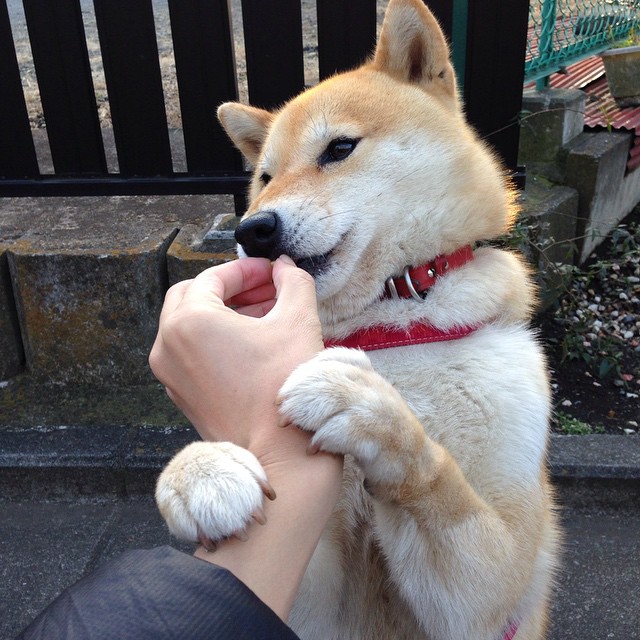 开云官网-足球梯队开始跨省合作试点区域培养，全国足球改革试点省区