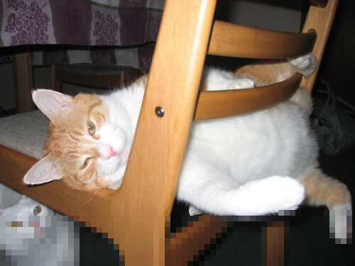 开云真人体育娱乐-乌干达女篮在非洲锦标赛中持续突破，体育事业不断发展，乌干达女子精英联赛  第3张