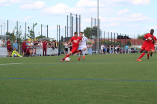 开云体育登入-特色足球运动场设计结合智慧城市理念，实现多功能利用，趣味足球场设计